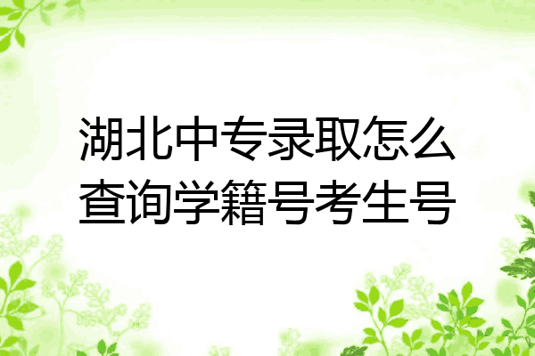 湖北中专录取怎么查询学籍号考生号