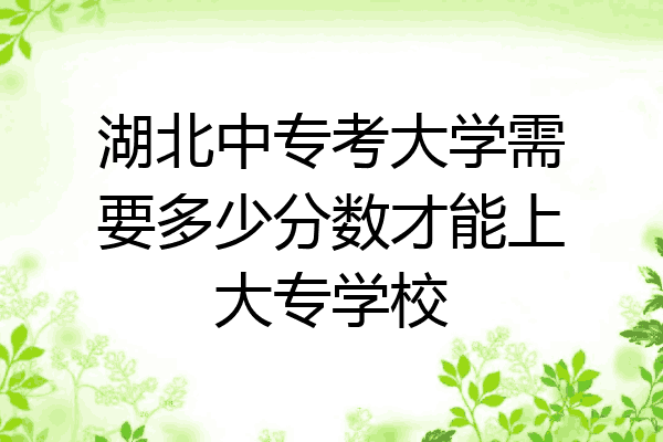 湖北中专考大学需要多少分数才能上大专学校
