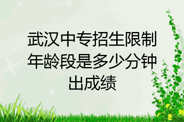 武汉中专招生限制年龄段是多少分钟出成绩