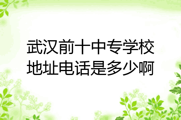 武汉前十中专学校地址电话是多少啊