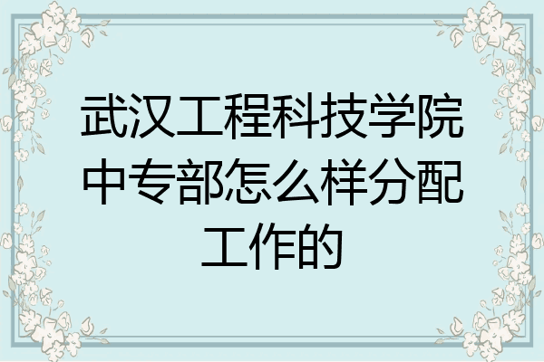 武汉工程科技学院中专部怎么样分配工作的