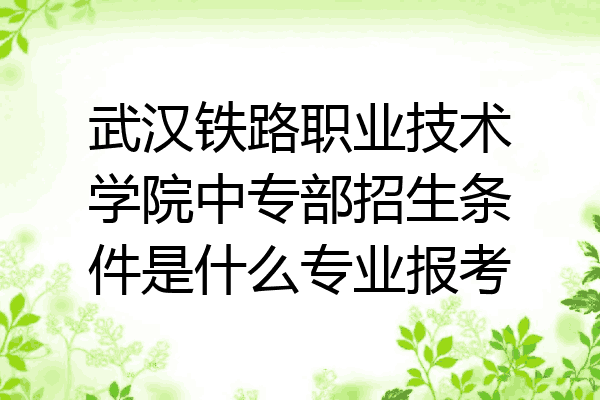 武汉铁路职业技术学院中专部招生条件是什么专业报考