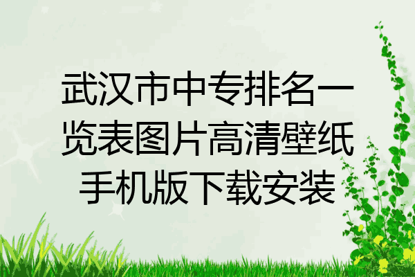 武汉市中专排名一览表图片高清壁纸手机版下载安装