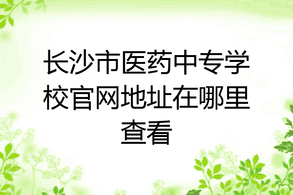 长沙市医药中专学校官网地址在哪里查看