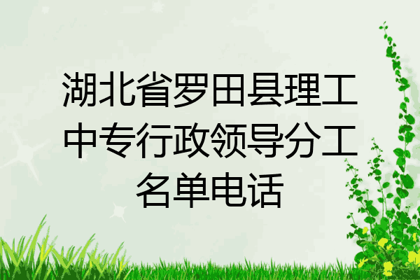 湖北省罗田县理工中专行政领导分工名单电话