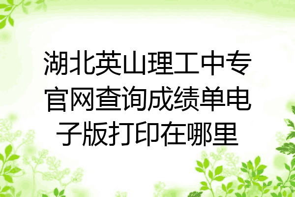 湖北英山理工中专官网查询成绩单电子版打印在哪里