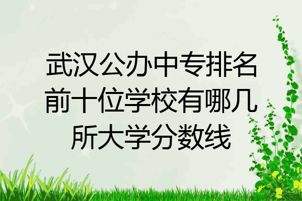 武汉公办中专排名前十位学校有哪几所大学分数线