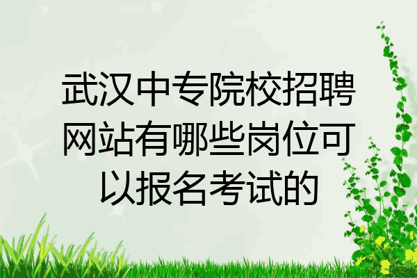 武汉中专院校招聘网站有哪些岗位可以报名考试的