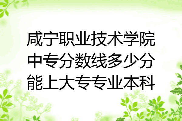 咸宁职业技术学院中专分数线多少分能上大专专业本科