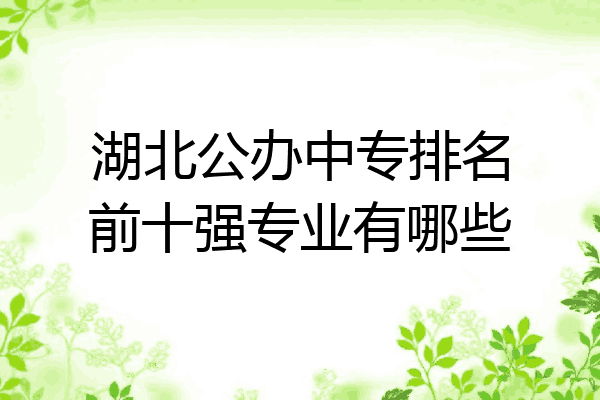 湖北公办中专排名前十强专业有哪些