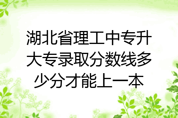 湖北省理工中专升大专录取分数线多少分才能上一本