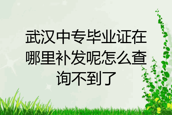 武汉中专毕业证在哪里补发呢怎么查询不到了