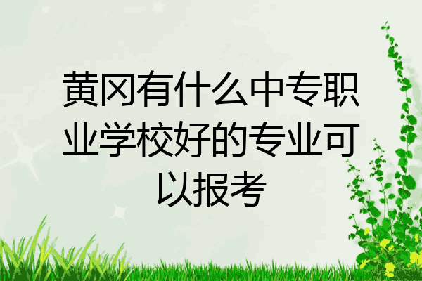 黄冈有什么中专职业学校好的专业可以报考