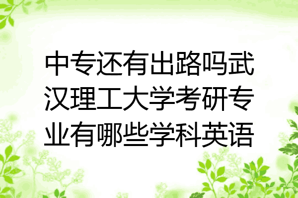 中专还有出路吗武汉理工大学考研专业有哪些学科英语