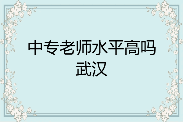 中专老师水平高吗武汉