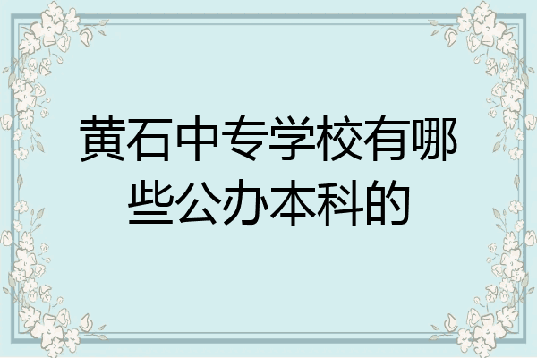 黄石中专学校有哪些公办本科的