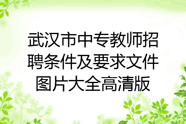 武汉市中专教师招聘条件及要求文件图片大全高清版