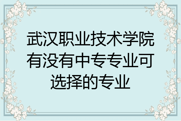 武汉职业技术学院有没有中专专业可选择的专业