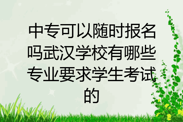 中专可以随时报名吗武汉学校有哪些专业要求学生考试的