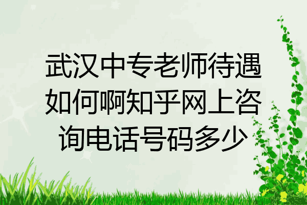 武汉中专老师待遇如何啊知乎网上咨询电话号码多少