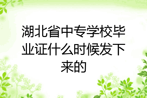 湖北省中专学校毕业证什么时候发下来的