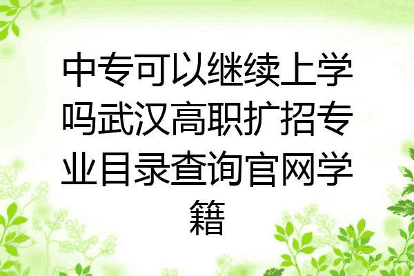 中专可以继续上学吗武汉高职扩招专业目录查询官网学籍