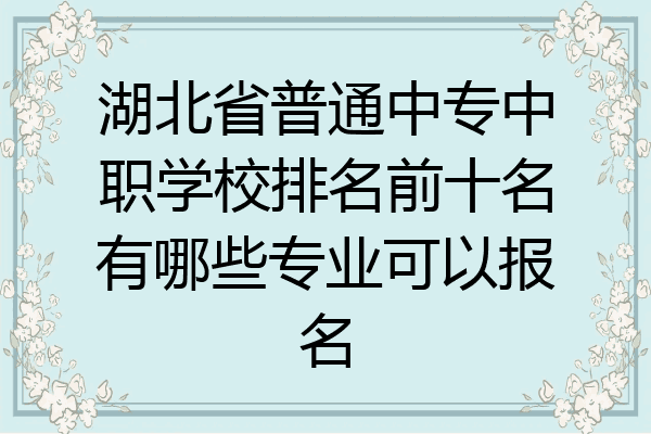 湖北省普通中专中职学校排名前十名有哪些专业可以报名