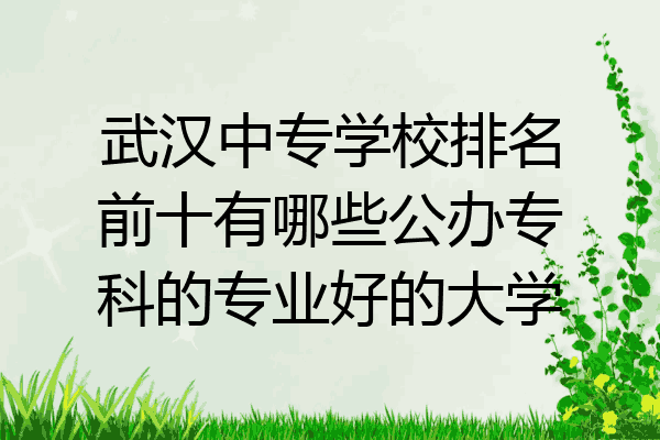 武汉中专学校排名前十有哪些公办专科的专业好的大学