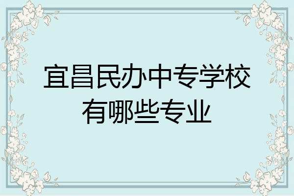 宜昌民办中专学校有哪些专业