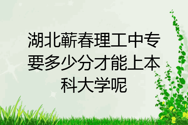 湖北蕲春理工中专要多少分才能上本科大学呢