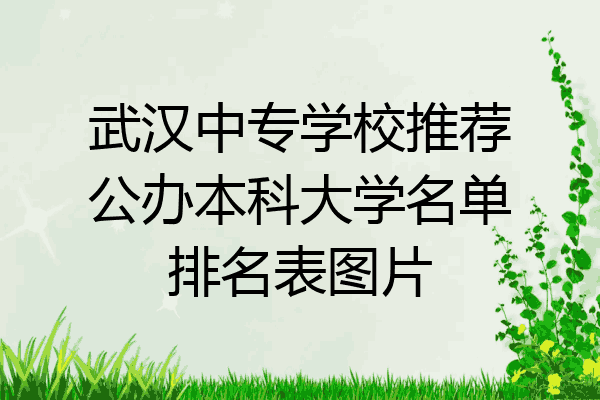 武汉中专学校推荐公办本科大学名单排名表图片