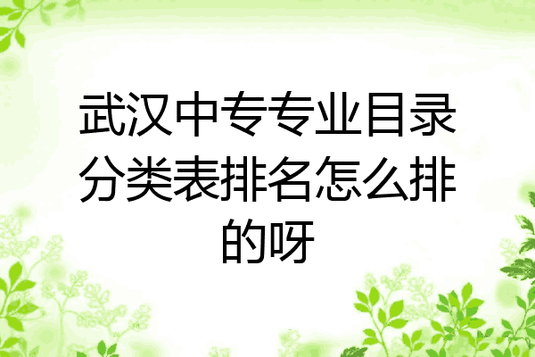 武汉中专专业目录分类表排名怎么排的呀