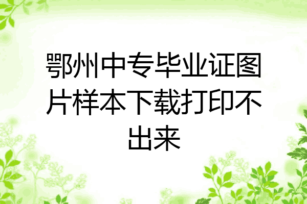 鄂州中专毕业证图片样本下载打印不出来