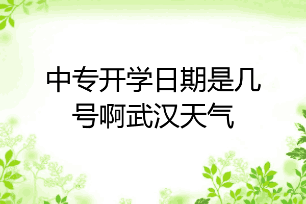 中专开学日期是几号啊武汉天气