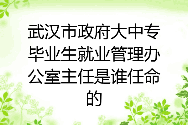 武汉市政府大中专毕业生就业管理办公室主任是谁任命的