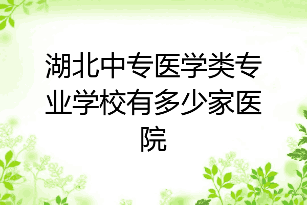 湖北中专医学类专业学校有多少家医院