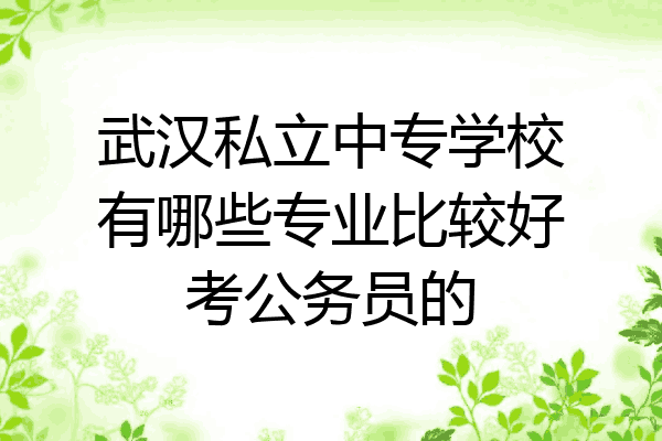 武汉私立中专学校有哪些专业比较好考公务员的