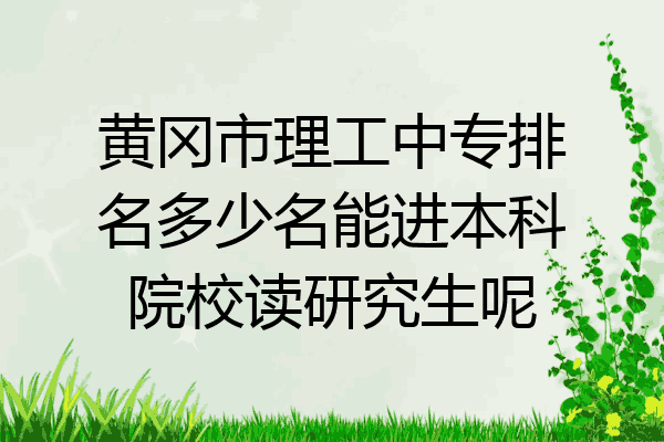 黄冈市理工中专排名多少名能进本科院校读研究生呢