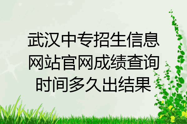 武汉中专招生信息网站官网成绩查询时间多久出结果
