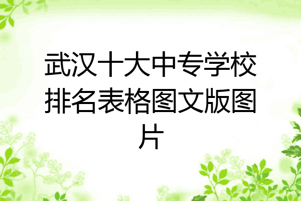武汉十大中专学校排名表格图文版图片