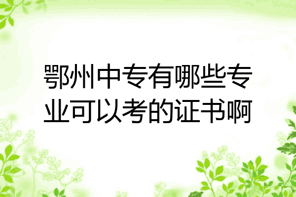 鄂州中专有哪些专业可以考的证书啊