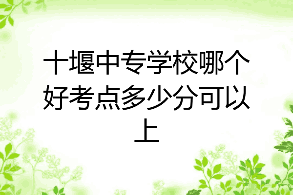 十堰中专学校哪个好考点多少分可以上