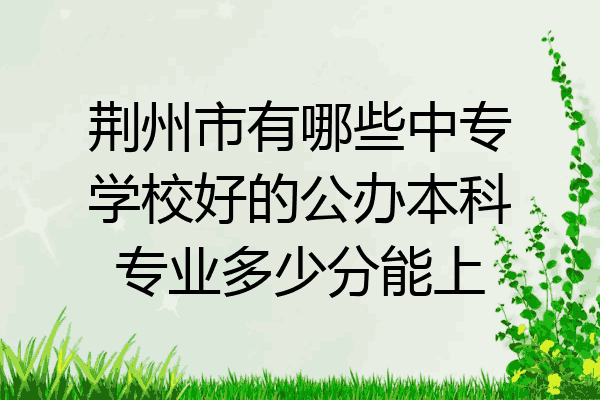 荆州市有哪些中专学校好的公办本科专业多少分能上