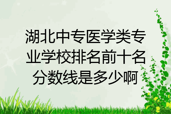 湖北中专医学类专业学校排名前十名分数线是多少啊
