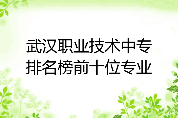 武汉职业技术中专排名榜前十位专业