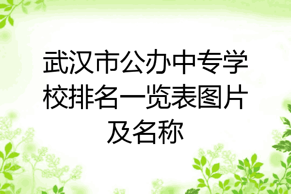 武汉市公办中专学校排名一览表图片及名称