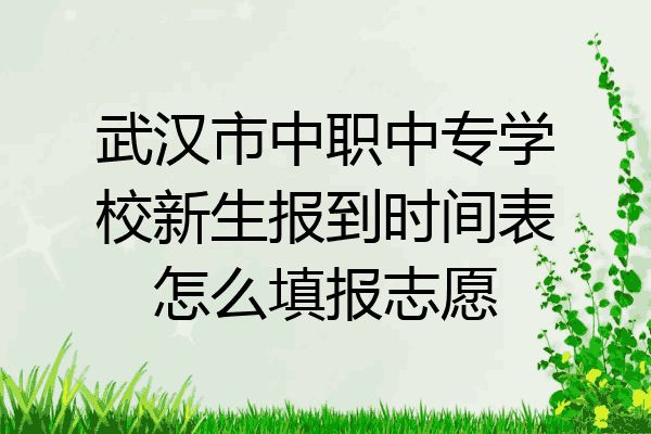 武汉市中职中专学校新生报到时间表怎么填报志愿