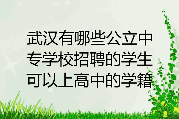 武汉有哪些公立中专学校招聘的学生可以上高中的学籍