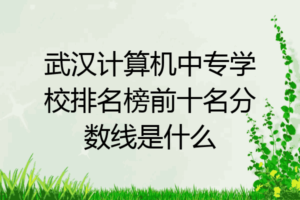 武汉计算机中专学校排名榜前十名分数线是什么