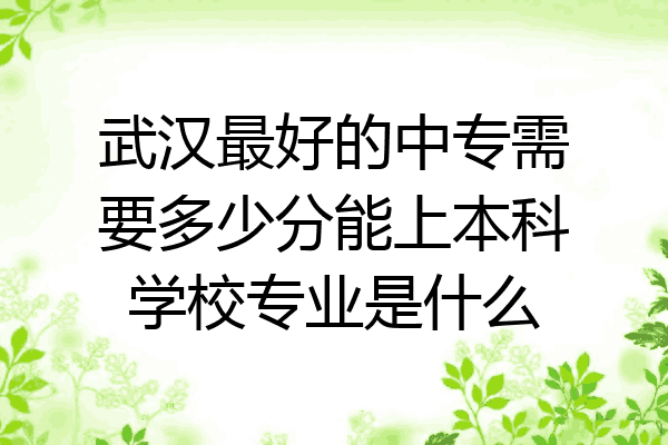 武汉最好的中专需要多少分能上本科学校专业是什么
